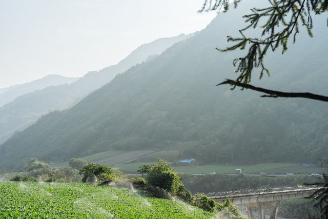 2026 The Road to Taiwan KOM-Spring 010