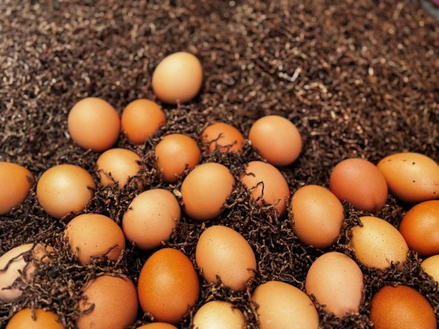 Nanzhuang and Emei Lake 20